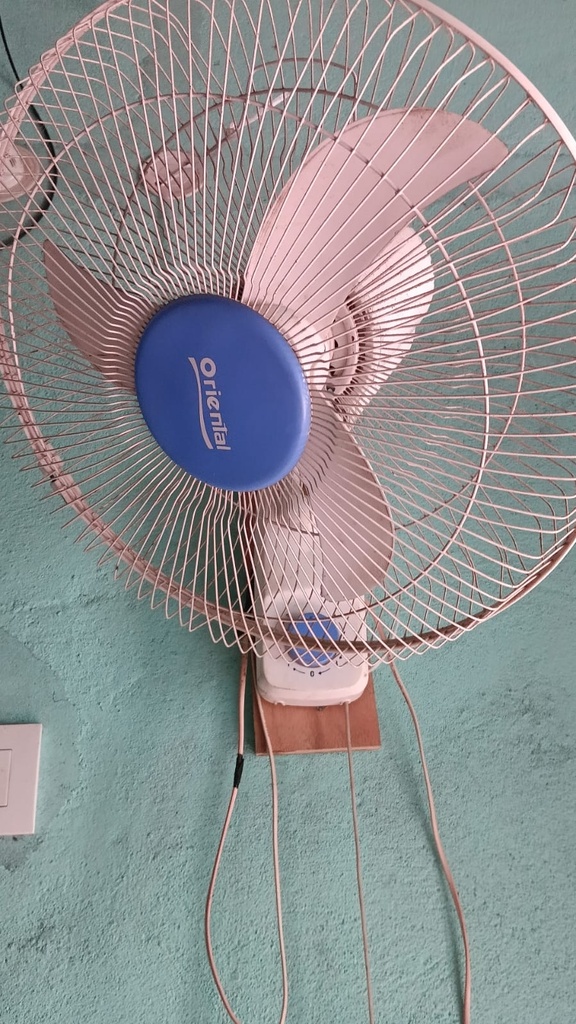 Oriental Wall Fan