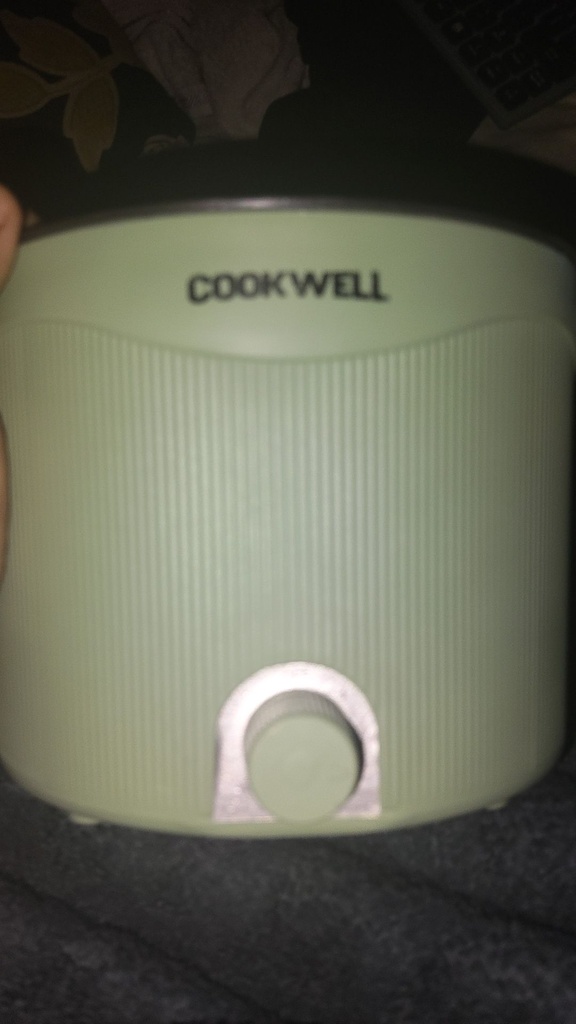 COOKWELL Sage Green Portable Mini Cooker, photo 1