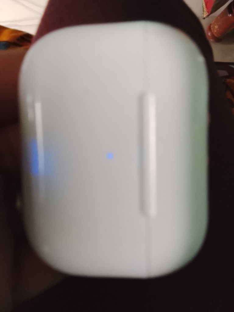 Apple AirPods Charging Case