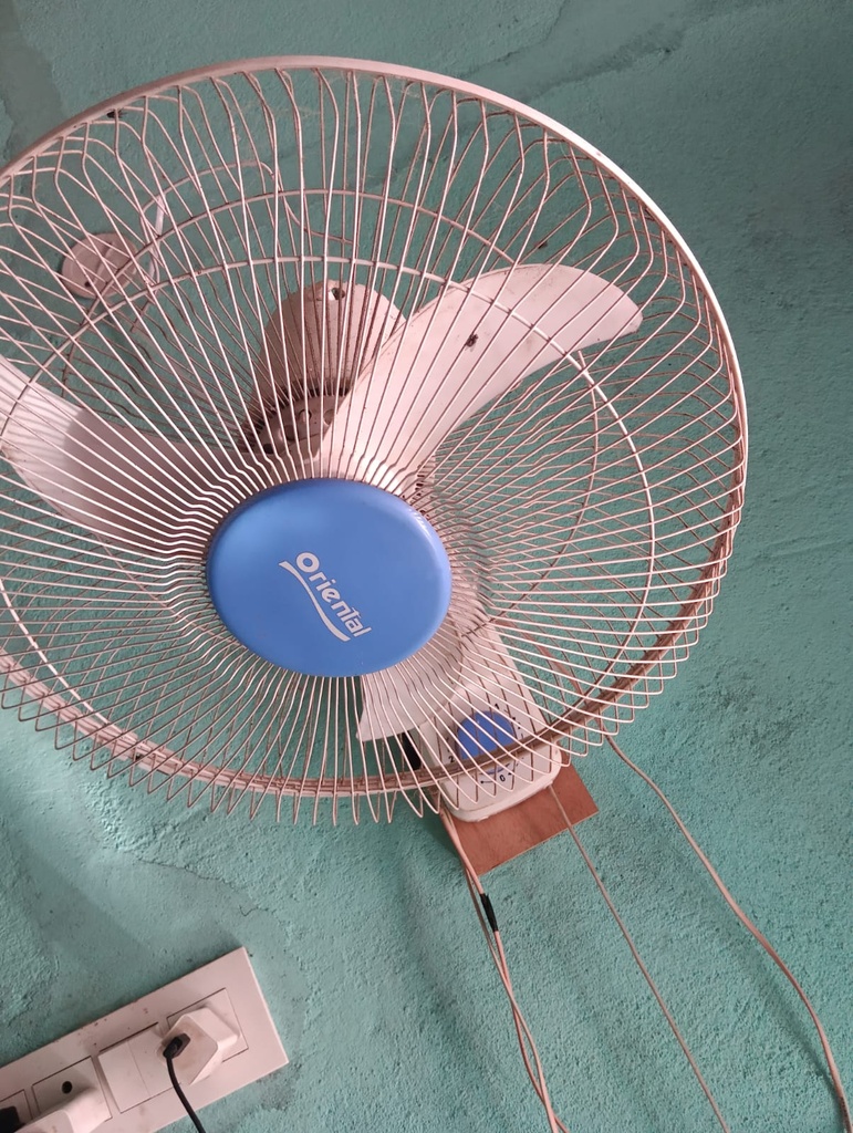 Oriental Wall Fan