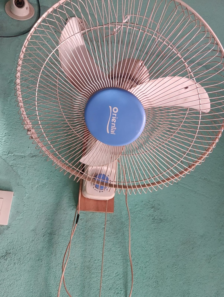 Oriental Wall Fan