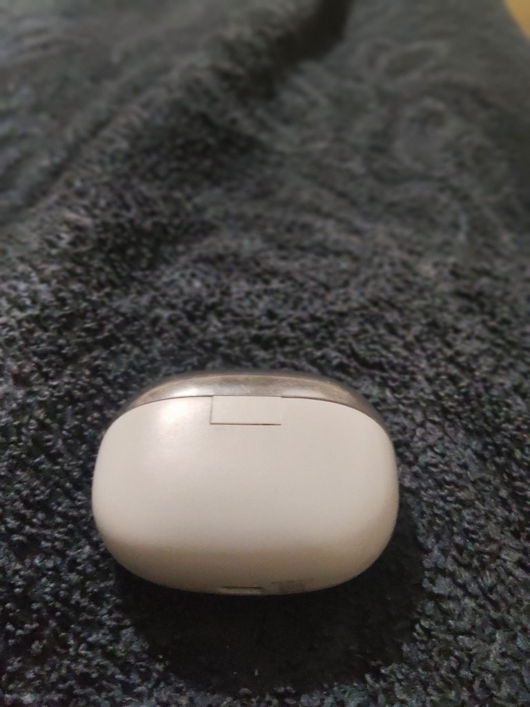 Boat Wireless Earbuds Charging Case, photo 1
